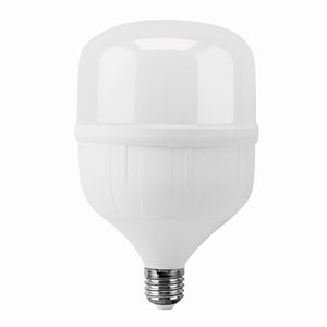 ����� �/� LEEK LE T- 30W LED 6K E27 (20) (P)